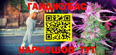 спайс Моздок